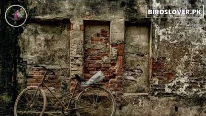 توبہ اور استغفار کا وقت ہے