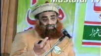 Azeem Tar Pakistan Convention Mustafai Tehrik ( Allama Syed Riaz Husain Shah ) Mustafai Tv